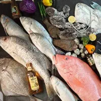 ماهی جنوب تازه