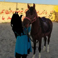اسب