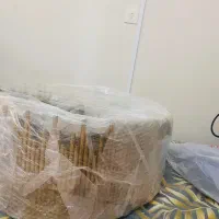 لوستر نو نو