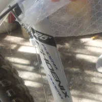 دو چرخه فونیکس|دوچرخه، اسکیت، اسکوتر|فولادشهر, B1|دیوار