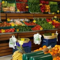 ۱۶ متر مغازه فقط میوه فروشی یا سبزی خورد کنی