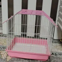 قفس پرنده