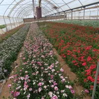 فروش زمین