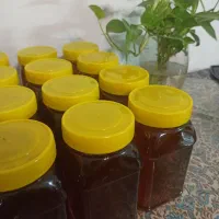 عسل|خوردنی و آشامیدنی|مشهد, امامیه (شهرک غرب)|دیوار