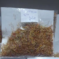 سوغات خراسان بصورت کلی و جزئی|خوردنی و آشامیدنی|مشهد, کوی ولیعصر|دیوار