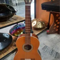 گیتارهای پارسی