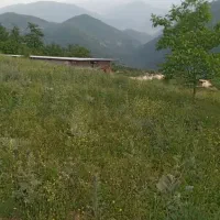 فروش-زمین-در-دودانگه