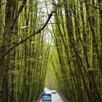 تاکس دربستی به تمامنقاط کشوربا۲۰ساله سابقه رانندگی|خودرو اجارهای|بوکان, |دیوار