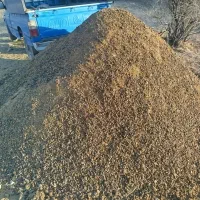 کود حیوانی گوسفندی|خدمات باغبانی و درختکاری|کوهدشت, |دیوار