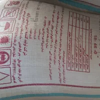 کود ریشه رازی