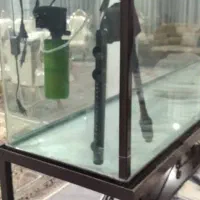 آکواریوم|ماهی|شهریار, بکه|دیوار