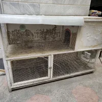 قفس خرگوش و مرغ و خروس