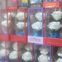 باکس گل مصنوعی|گل مصنوعی|ملارد, |دیوار