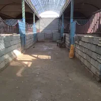 سالن سفره خانه و اسطبل وسوله