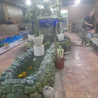 واگذاری چای سرای بلوط رباط اول
