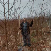 فروش انواع نهال از 30هزار به بالا