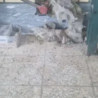 پرس پانچ اهرمی|ابزارآلات|سیستان, |دیوار