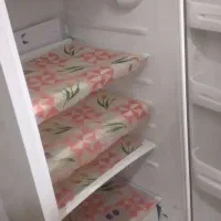 یخچال فریزر پارس