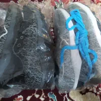 دوجفت کفش پسرانه نونو