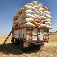 فروش کاه