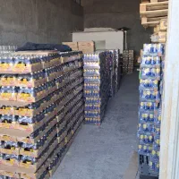 فروتلند با قیمت های باور نکردنی