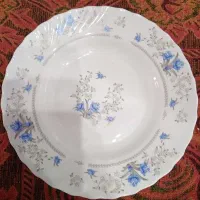 سرویس ۱۲ نفره گل ابی