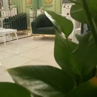 اجاره لاین تخصصی زیبایی در مطب پزشک