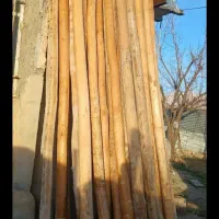 خریدار انواع چوب بابالاترین قیمت|خدمات باغبانی و درختکاری|کرمانشاه, |دیوار