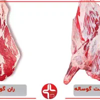 ران و سردست گوساله درجه ۱