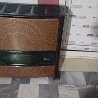 بخاری در حد نونو