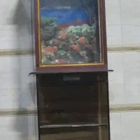 آکواریوم کلبه ای زیبا