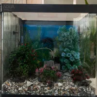 اکواریوم مدل aqua