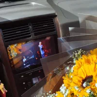 پارس تیوفایو Elx سفارشی بدون رنگ 93