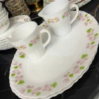 سرویس گل صورتی آرکوپال اصل امارت