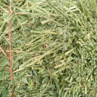 فروش یونجه پرس کوبیده