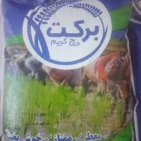 برنج عنبربو افرا برکت|خوردنی و آشامیدنی|اهواز, کیانشهر|دیوار