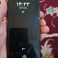 A31