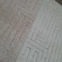 ۴ عدد پادری پشمالویی