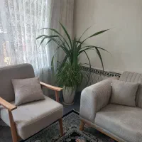 گل پاندانوس