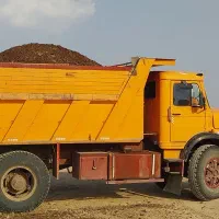 کود حیوانی پشکل