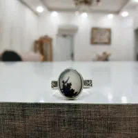 فروش انگشتر شجر عکسی قائنات با رکاب نقره عیار بالا|بدلیجات|مشهد, هدایت|دیوار