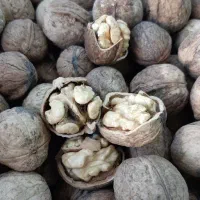 گردو تویسرکان|خوردنی و آشامیدنی|خمینی‌شهر, |دیوار