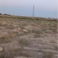 زمین کشاورزی گلخانه ای باغی|فروش زمین و ملک کلنگی|ورامین, ورامین|دیوار