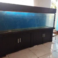 اکواریوم سکوریت ۲ متری