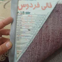 قالی مناسب خانه باغ|فرش|مریوان, |دیوار