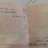 مشاوره تخصصی امور ثبتی صیادی تضمینی