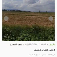 زمین کشاورزی مخصوص باغ