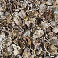 خرید پوست گردو