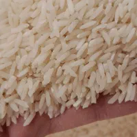 هاشمی   ۲۷کیلو تازه کوبیده از دست کشاورز|خوردنی و آشامیدنی|رشت, پل تالشان|دیوار
