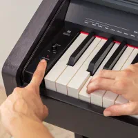 پیانو ژاپنی رولندrp30|پیانو، کیبورد، آکاردئون|یزد, |دیوار